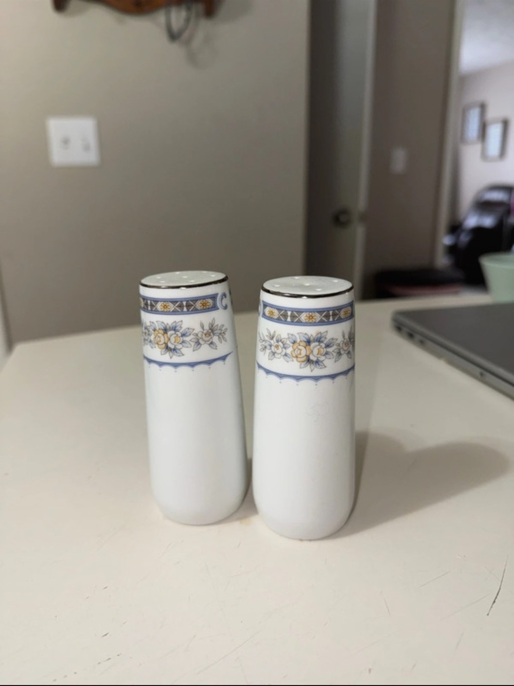 Vintage White Porcelain Salt and Pepper Shakers with Blue and Yellow Floral Band